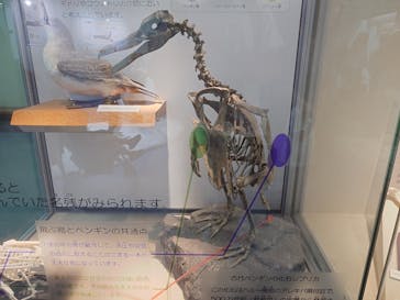 名古屋港水族館に投稿された画像（2025/5/22）