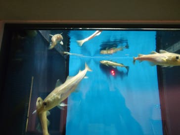 名古屋港水族館に投稿された画像（2025/5/22）