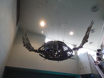 名古屋港水族館に投稿された画像（2025/5/22）