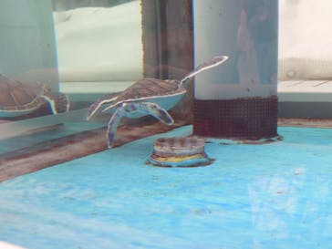 名古屋港水族館に投稿された画像（2025/5/22）