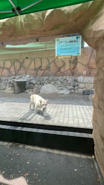 東武動物公園に投稿された画像（2025/5/22）