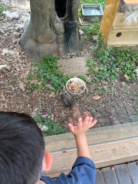 東武動物公園に投稿された画像（2025/5/22）