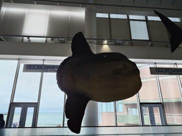 アクアワールド茨城県大洗水族館に投稿された画像（2025/5/22）