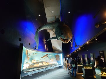 環境水族館アクアマリンふくしまに投稿された画像（2025/5/22）