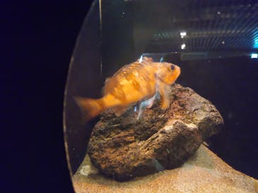 環境水族館アクアマリンふくしまに投稿された画像（2025/5/22）