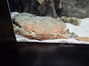 仙台うみの杜水族館に投稿された画像（2025/5/22）
