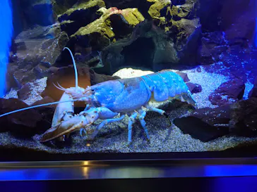 仙台うみの杜水族館に投稿された画像（2025/5/22）