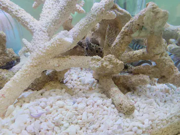 仙台うみの杜水族館に投稿された画像（2025/5/22）