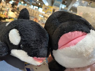 鴨川シーワールドに投稿された画像（2025/5/22）