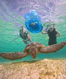 COCO宮古島に投稿された画像（2025/5/23）