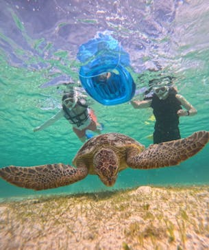 COCO宮古島に投稿された画像（2025/5/22）