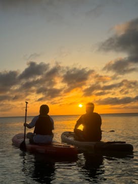 COCO宮古島に投稿された画像（2025/5/22）