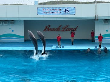 南知多ビーチランド＆南知多おもちゃ王国に投稿された画像（2025/5/22）