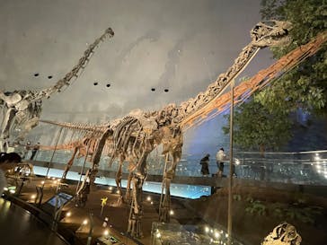 福井県立恐竜博物館に投稿された画像（2025/5/23）