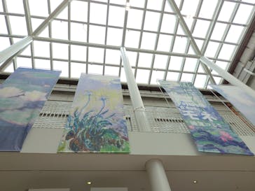 モネ　睡蓮のときに投稿された画像（2025/5/23）