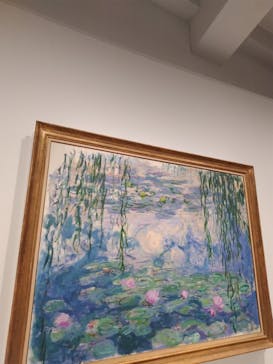 モネ　睡蓮のときに投稿された画像（2025/5/23）