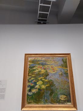 モネ　睡蓮のときに投稿された画像（2025/5/23）