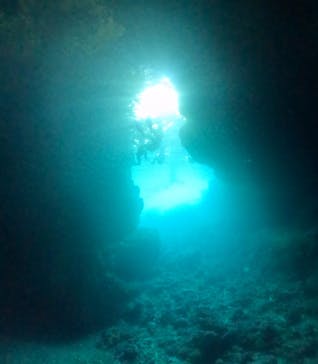 武藤潜水に投稿された画像（2025/5/23）