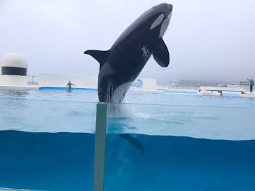 鴨川シーワールドに投稿された画像（2025/5/23）