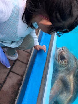 鴨川シーワールドに投稿された画像（2025/5/23）