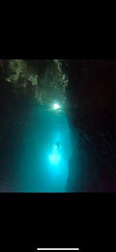 武藤潜水に投稿された画像（2025/5/23）