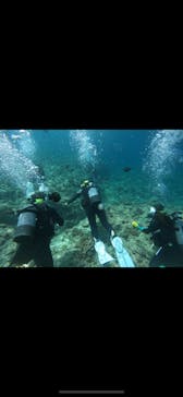 武藤潜水に投稿された画像（2025/5/23）