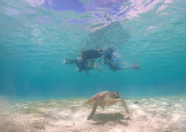 元気玉に投稿された画像（2025/5/23）