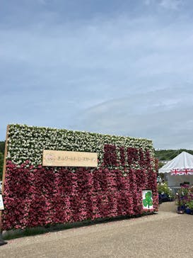 ぎふワールド・ローズガーデンに投稿された画像（2025/5/23）