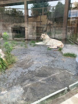 東武動物公園に投稿された画像（2025/5/23）