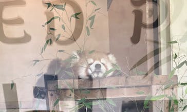 東武動物公園に投稿された画像（2025/5/23）