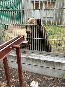 東武動物公園に投稿された画像（2025/5/23）