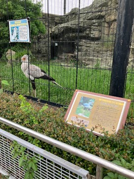 東武動物公園に投稿された画像（2025/5/23）