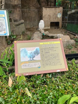 東武動物公園に投稿された画像（2025/5/23）