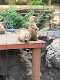 恩賜上野動物園に投稿された画像（2025/5/23）