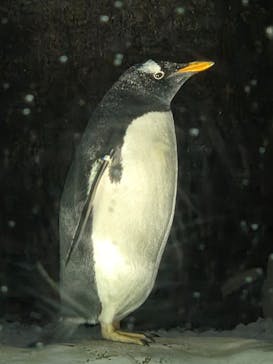 名古屋港水族館に投稿された画像（2025/5/23）