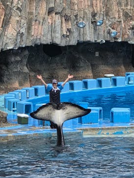 名古屋港水族館に投稿された画像（2025/5/23）