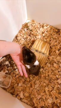 伊豆シャボテン動物公園に投稿された画像（2025/5/23）