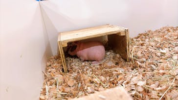 伊豆シャボテン動物公園に投稿された画像（2025/5/23）