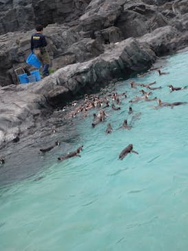 葛西臨海水族園に投稿された画像（2025/5/23）