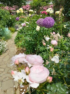 ACAO FORESTに投稿された画像（2025/5/23）