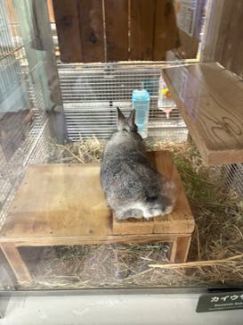 恩賜上野動物園に投稿された画像（2025/5/23）