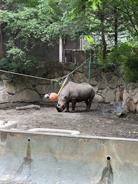 恩賜上野動物園に投稿された画像（2025/5/23）
