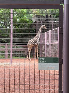恩賜上野動物園に投稿された画像（2025/5/23）