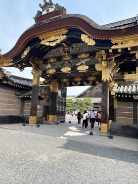 元離宮二条城に投稿された画像（2025/5/23）