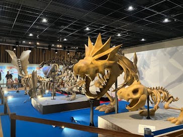 福井県立恐竜博物館に投稿された画像（2025/5/23）