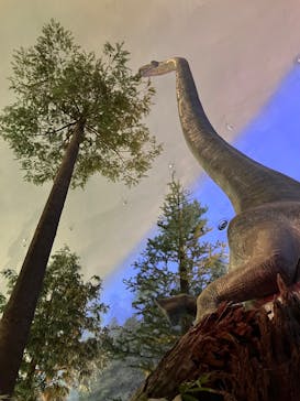 福井県立恐竜博物館に投稿された画像（2025/5/23）