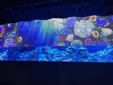 マクセル アクアパーク品川に投稿された画像（2025/5/23）