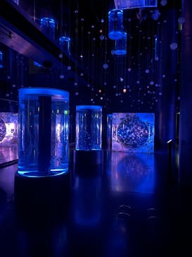 マクセル アクアパーク品川に投稿された画像（2025/5/23）