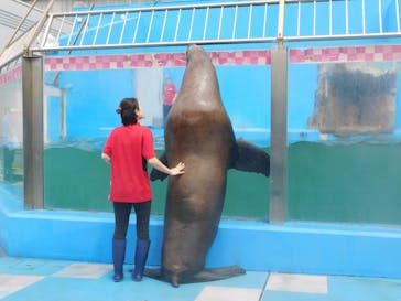 ゼロ距離水族館 伊勢シーパラダイスに投稿された画像（2025/5/23）