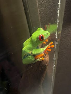 サンシャイン水族館に投稿された画像（2025/5/23）